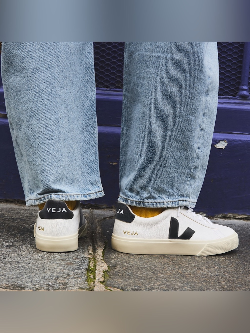 Veja White Sneakers with Black V Logo